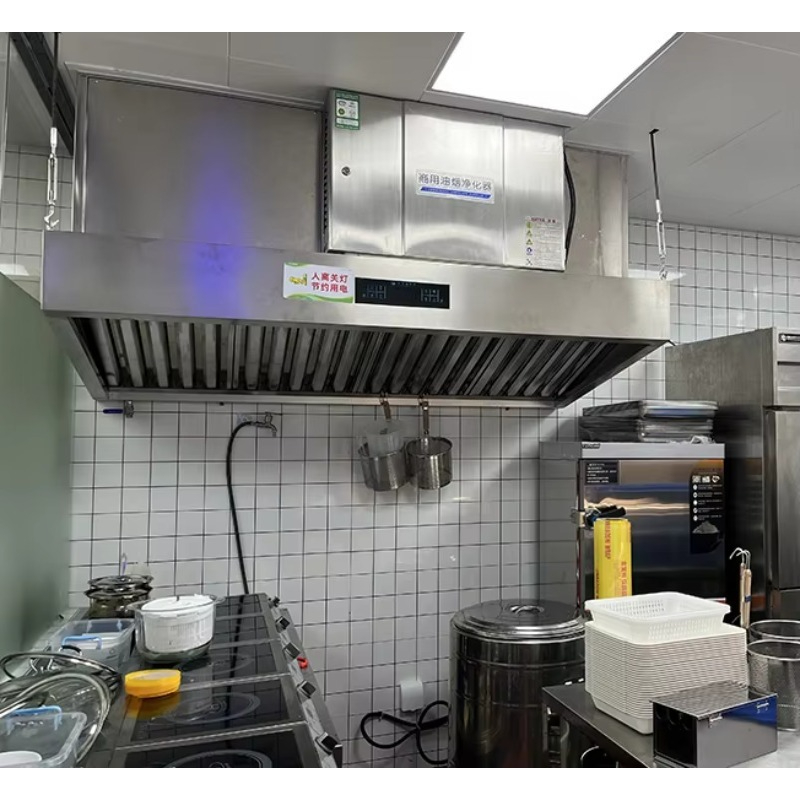 Customized Built in Electrosta - Commercial Kitchen Exhaust Hood recension och pris