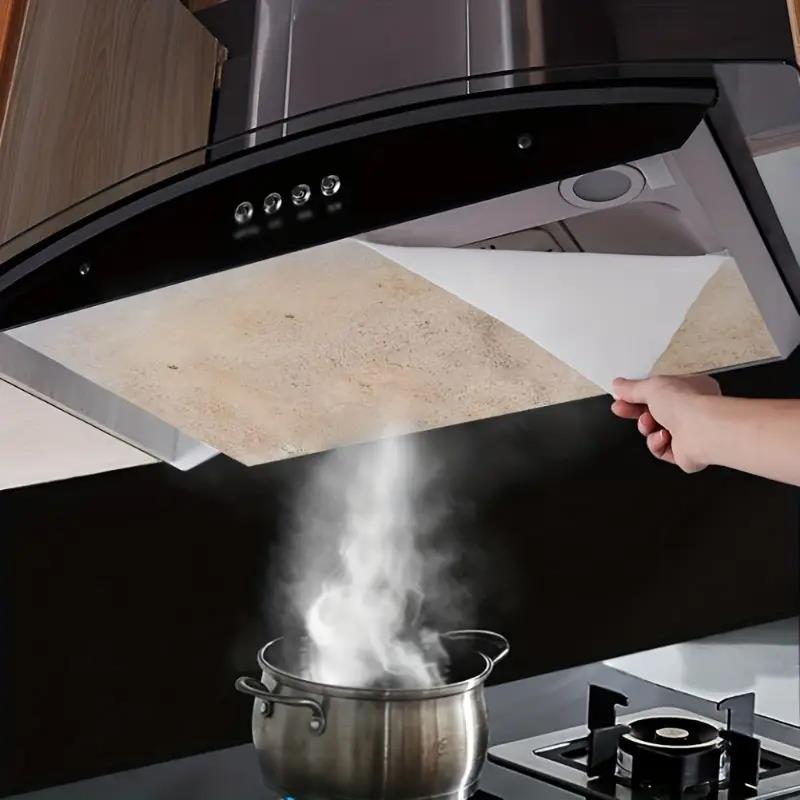 12pcs Disposable Hood Oil Filt - Commercial Kitchen Hood recension och pris